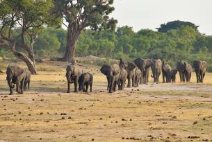 Hwange National Park
