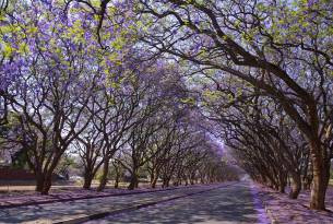 Harare