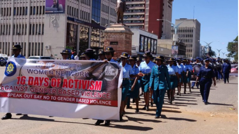 Zimbabwe Police Advise “Sneaky” Women To Delete WhatsApp Messages To Prevent Domestic Violence-Zimmagazine