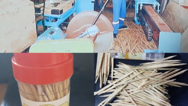 Zimbabwe now producing its own toothpicks-Zimmagazine