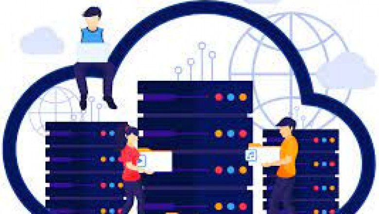Phexn Web Hosting Review: Fast, Reliable and Affordable Web Solutions-Zimmagazine
