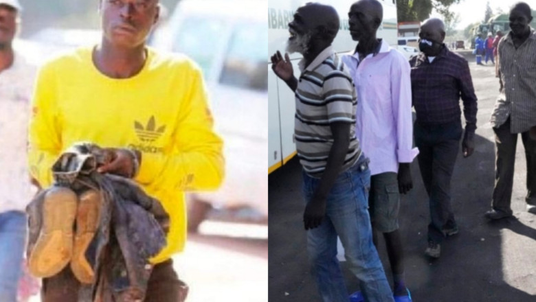 15 presidential amnesty beneficiaries back behind bars-Zimmagazine