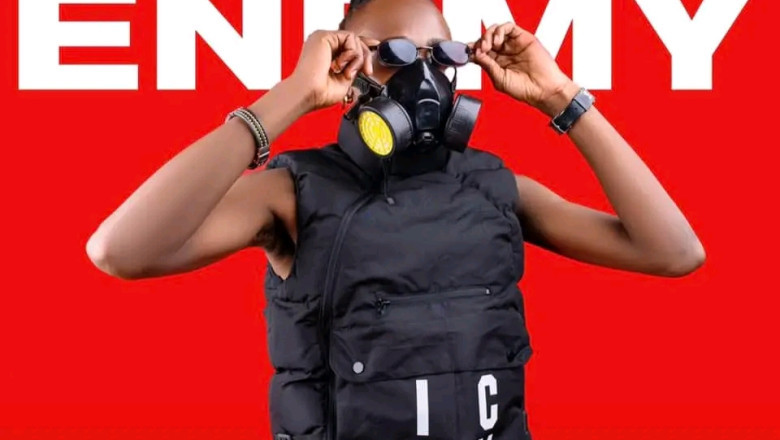 R.PEELS Set to Unleash Musical Firestorm with 'PUBLIC ENEMY' Album Release on August 25th-Zimmagazine