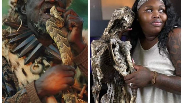 Kenya University launches degree in witchcraft - Zimmagazine